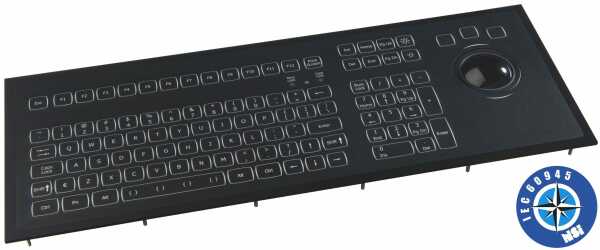 Keyboard, desk top, backlit, PS2