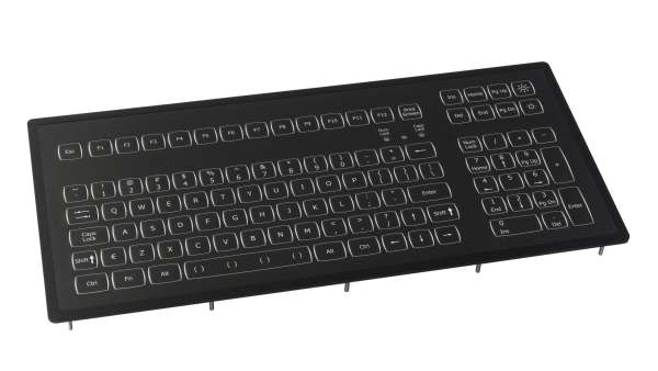 Keyboard, desk top, backlit, PS2