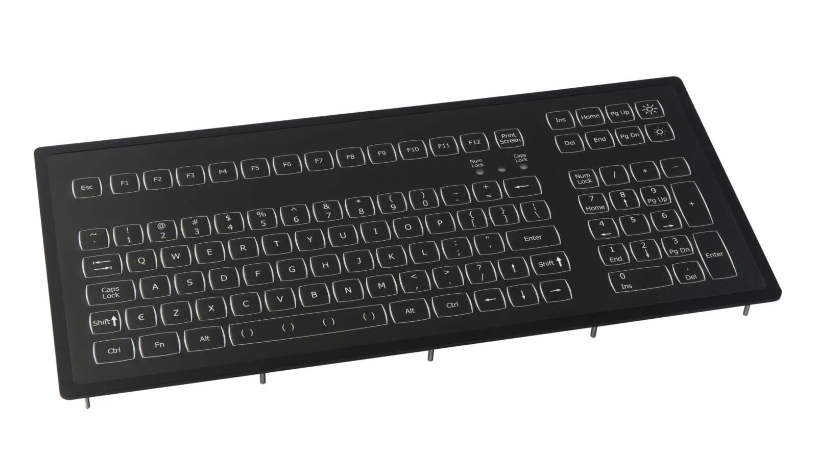 Keyboard, panel mount, backlit, PS2