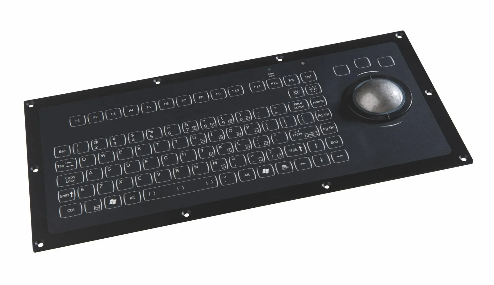 Keyboard, panel mount, backlit, PS2